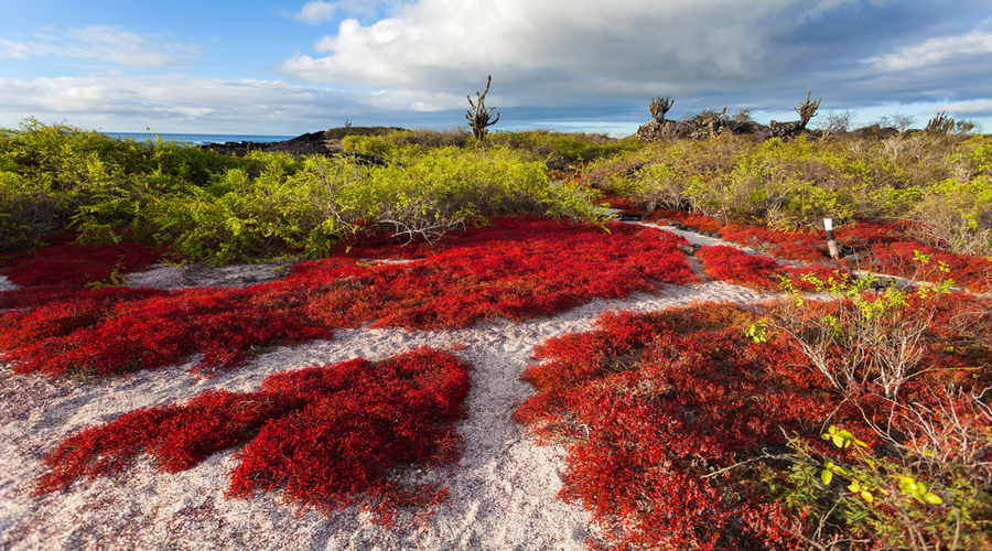 Itinerario Galapagos: viaggio di 10 giorni e tour 7 isole