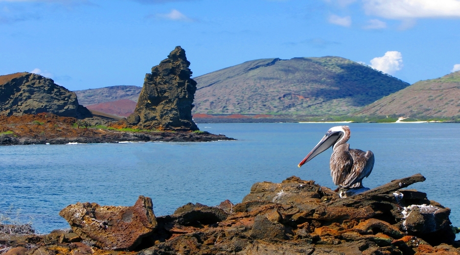 Isola Barlume con Pinnacle Rock