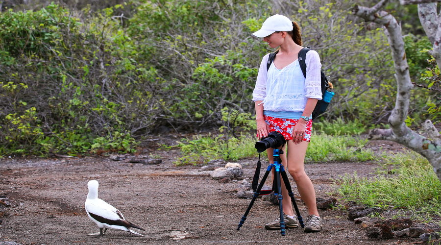 Viaggio alle Galapagos: scopri in 8 giorni le isole incantate!