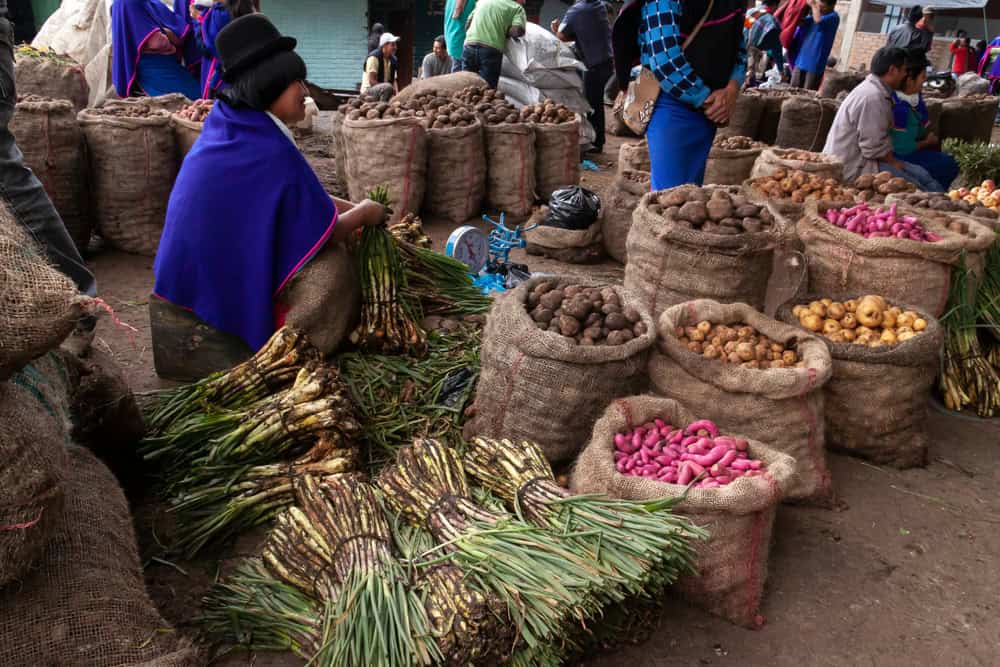 A-Guambiana-woman-works-as-a-seller-of-typical-local-products-in-the-Silvia-Market