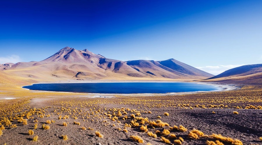 Laguna Miscanti, deserto di Atacama