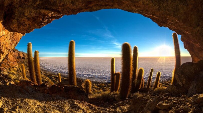 Grotta con cactus, Salar de Uyuni