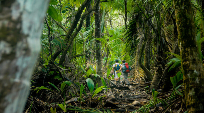 Parco nazionale Corcovado