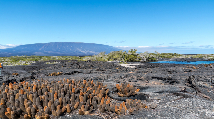 Viaggio alle Galapagos: scopri in 8 giorni le isole incantate!