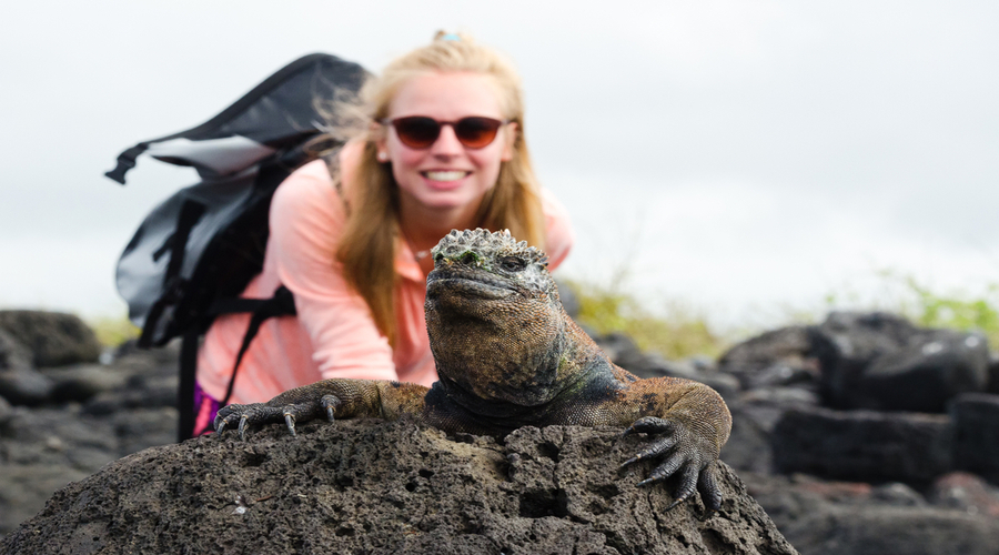 Cosa vedere alle Galapagos: itinerario di 3 isole in 7 giorni