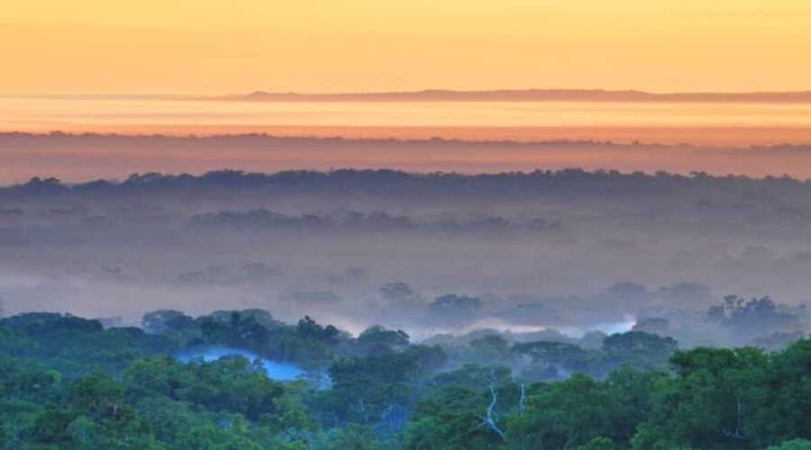 Guatemala-Tikal-National-Park-view-from-Temple-IV