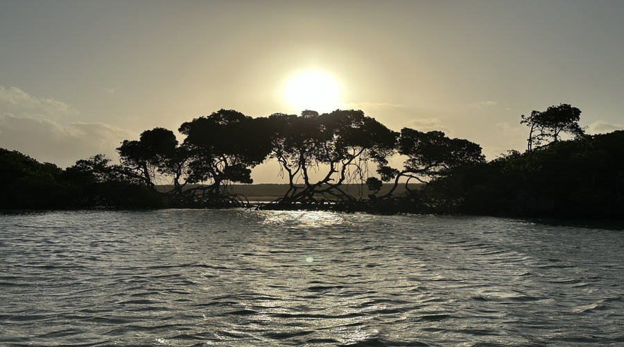 Alta Guajira, controluce