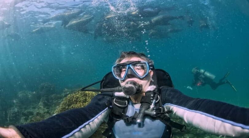 Immersioni-alle-Galapagos-8-giorni-a-Santa-Cruz-e-San-Cristobal_selfie-con-leoni-di-mare