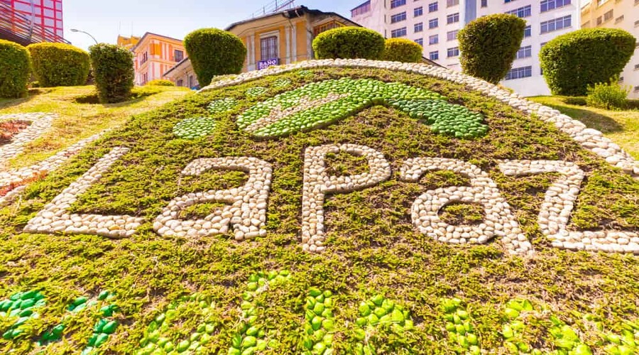 La Paz, Bolivia, aiuola con i fiori