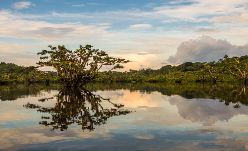 Tour di gruppo nella foresta amazzonica dell'Ecuador