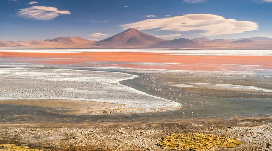 Laguna-colorada, Sur Lipez, Bolivia