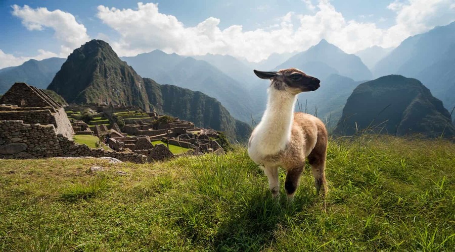 Machu Picchu Viaggio organizzato in Perù di 11 giorni