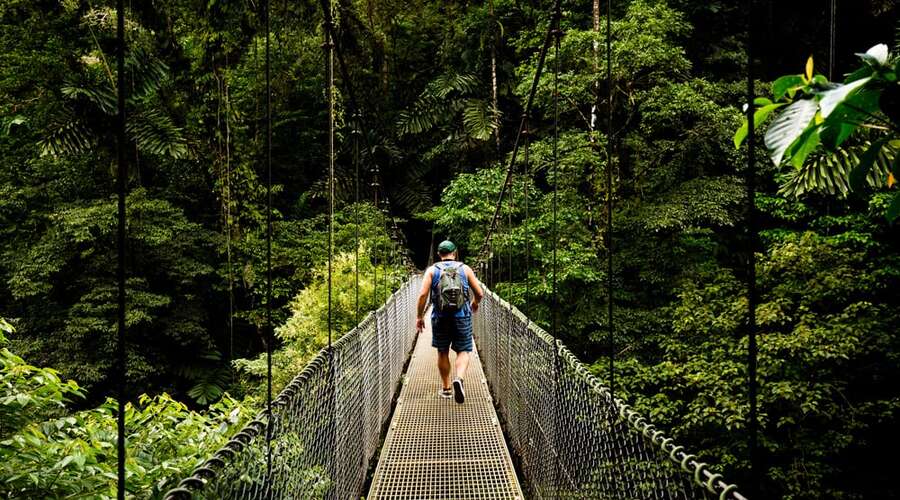 Ponti sospesi sulla volta della foresta