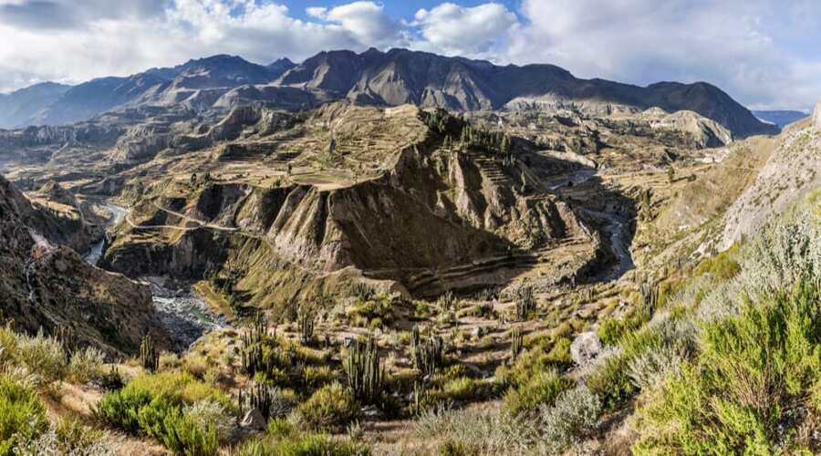 Cañon del Colca