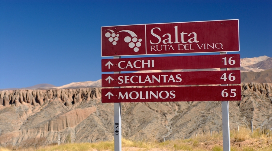 Ruta del Vino, Salta