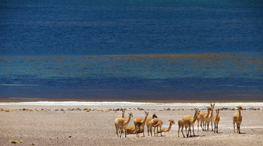 San Pedro de Atacama