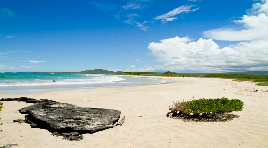 Viaggio alle Galapagos di 6 giorni a Santa Cruz e Isabela