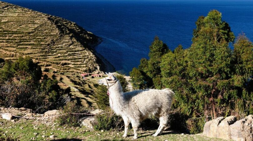 Cosa vedere in Perù -lago Titicaca