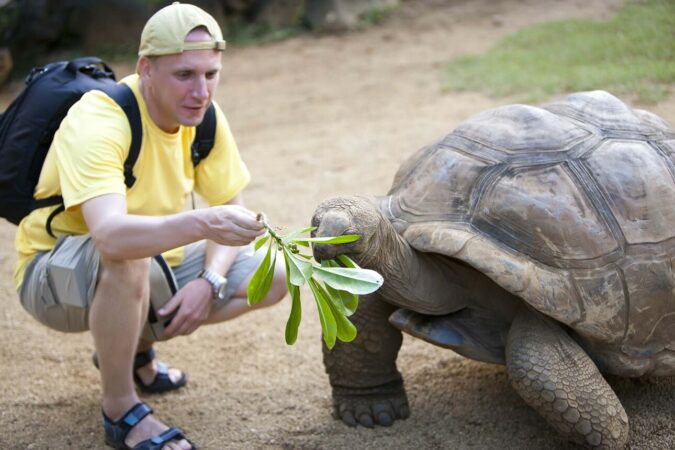 Turista che alimenta una tartaruga gigante-Programmi viaggio Galapagos