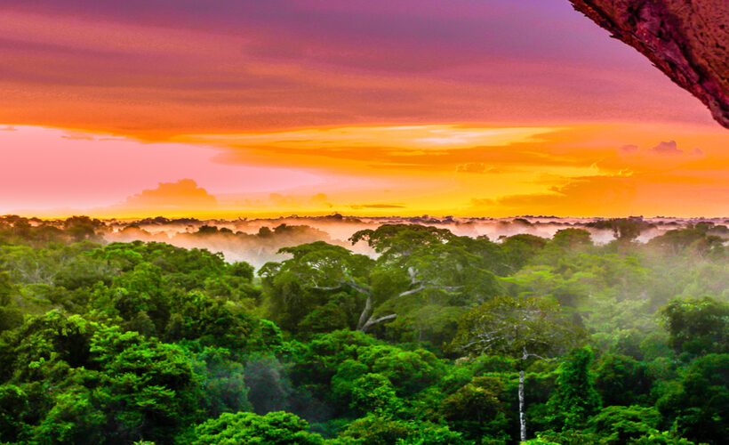 Tour Amazzonia Colombia di 4 giorni con partenza da Leticia