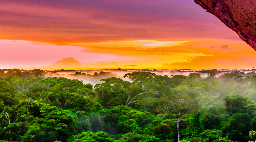 View-on-purple-sunset-over-rainforest-by-Leticia-in-Colombia