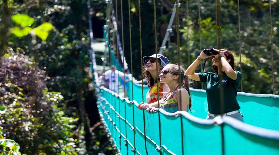 Ponte sospeso sulla volta della foresta tropicale