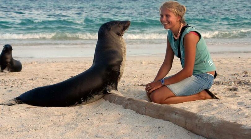 Incontri alle Galapagos