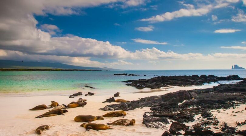 Spiaggia alle Galapagos