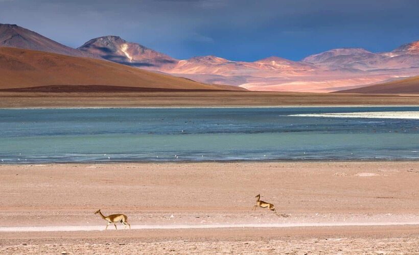 Viaggio Perù, Bolivia e Cile di 15 giorni | Tour organizzati