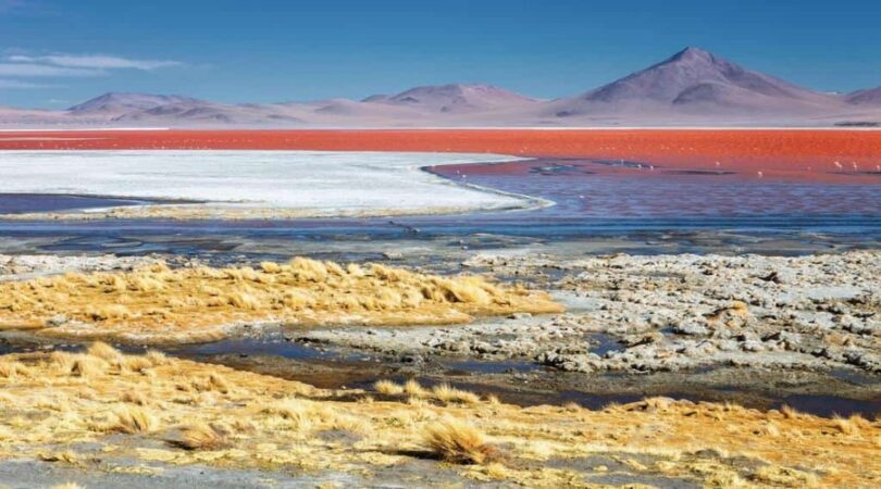 Laguna colorada Viaggio Perù, Bolivia e Cile di 15 giorni