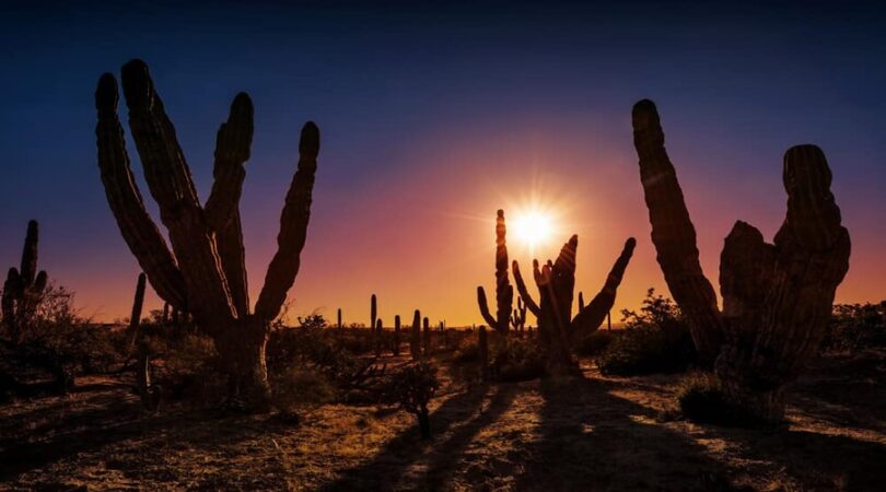 Tramonto nella Baja California