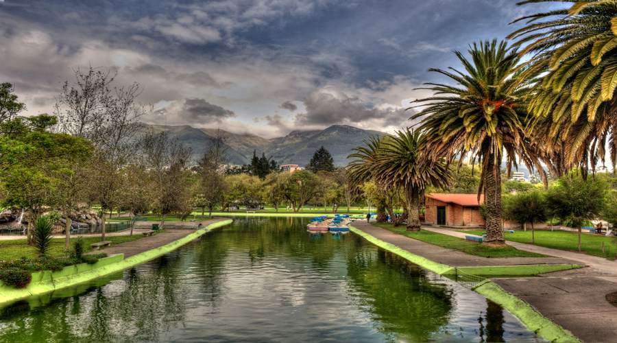 views of the beautiful public gardens in Quito