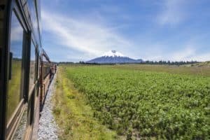 Ecuador Paesaggi sorprendenti: dalle Ande all’Amazzonia e alle Galapagos