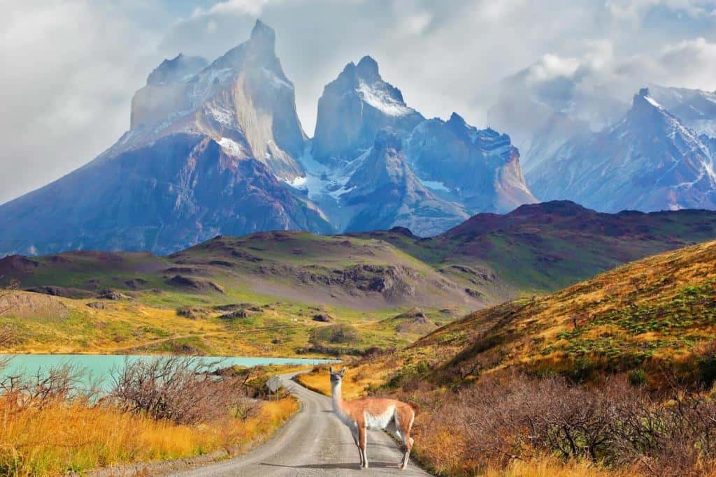 Majestic peaks of Los Kuernos over Lake Pehoe. On a dirt road is worth guanaco - Lama. The national park Torres del Paine, Patagonia, Chile