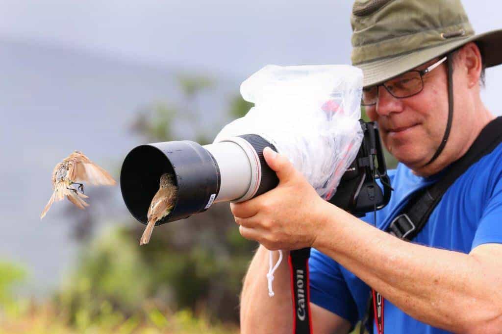 20 animali delle Galapagos_fringuelli