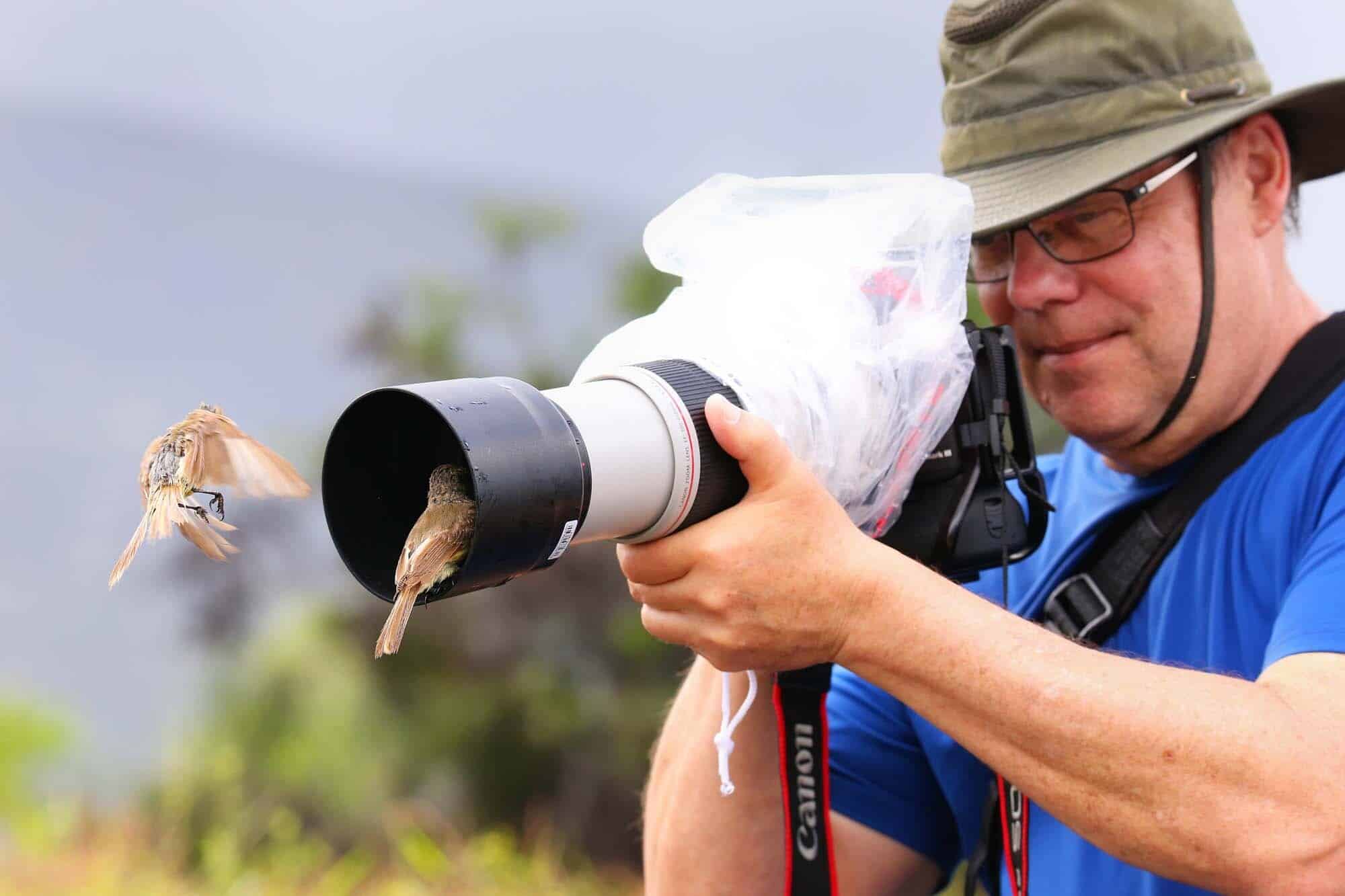 Friendly Galapagos birds sitting on a lens hood, Santiago I