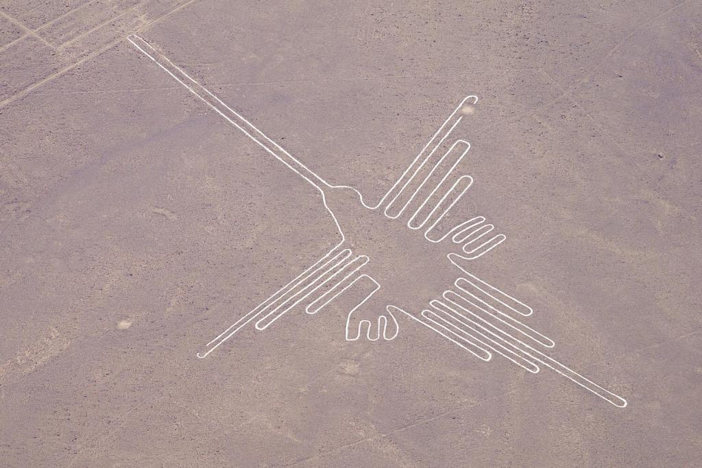 Linee di Nasca, il colibrì