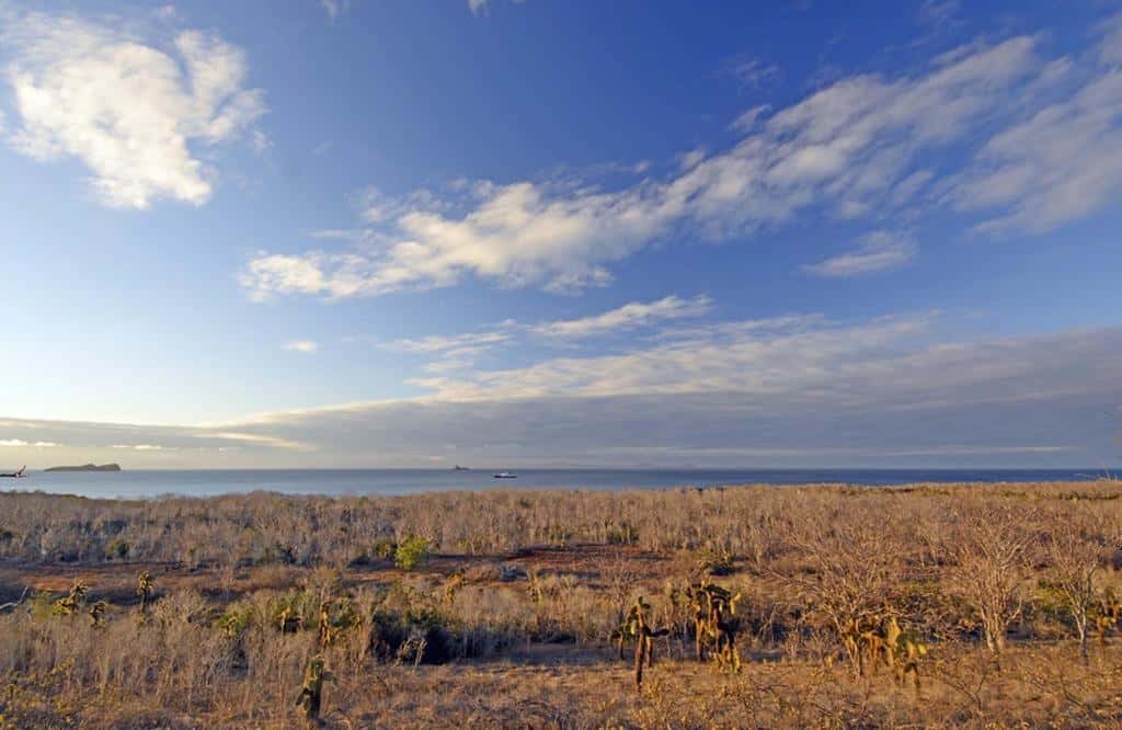 Panorama from Dragon Hill on Santa Cruz Island in the Galapagos