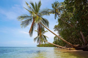 Costa Rica Caraibi: le spiagge, Puerto Viejo