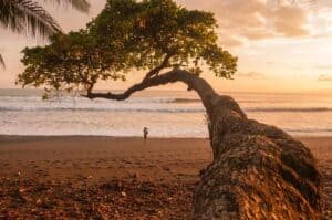 Beach-at-sunset-in-Corcovado-National-Park