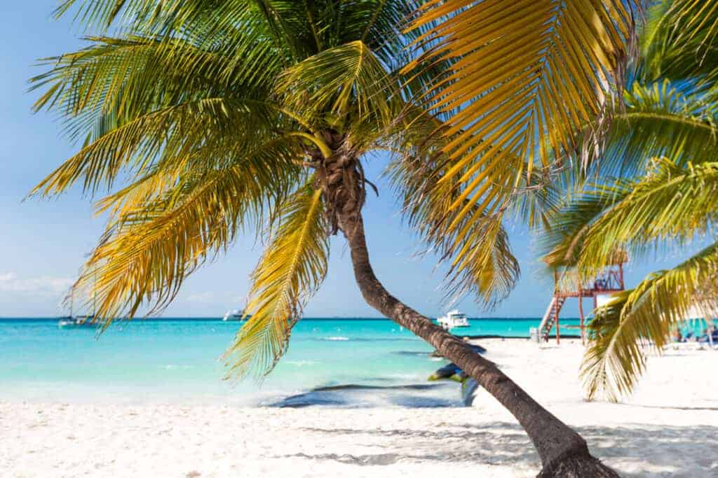 Tropical-white-sand-beach-with-coconut-palm-trees-seaview.-Mexico-Isla-Mujeres