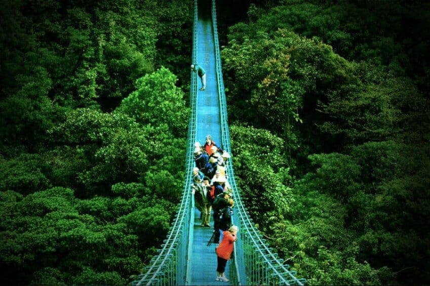 Ponte sospeso sulla foresta di Monteverde