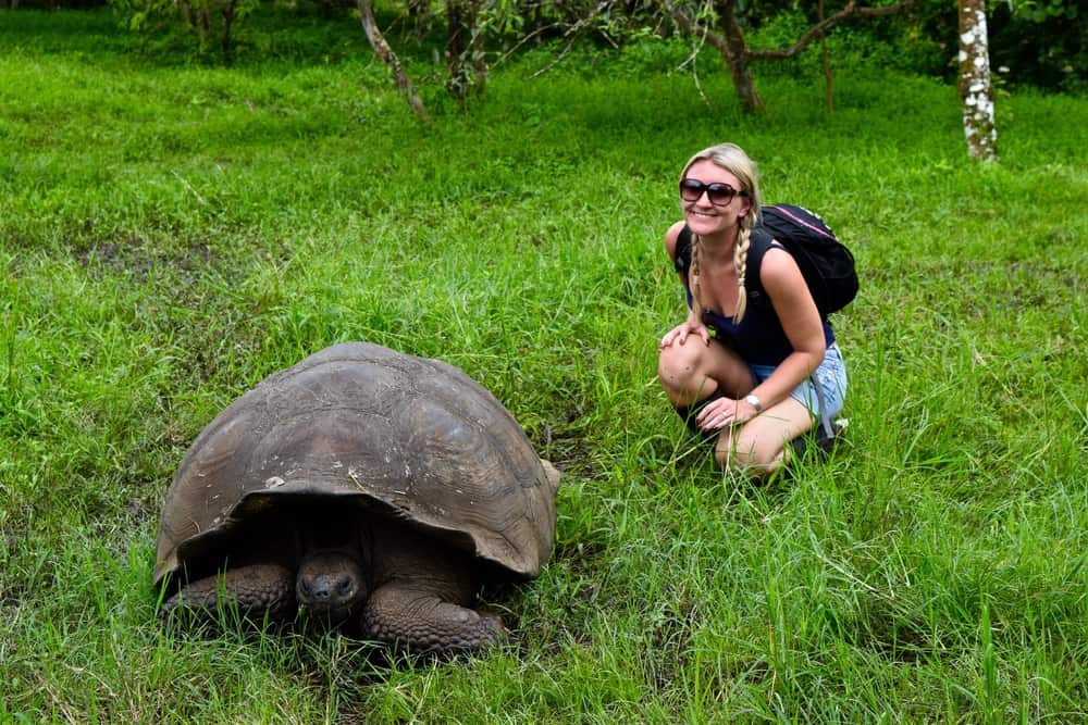 Tartarughe Galapagos guida completa