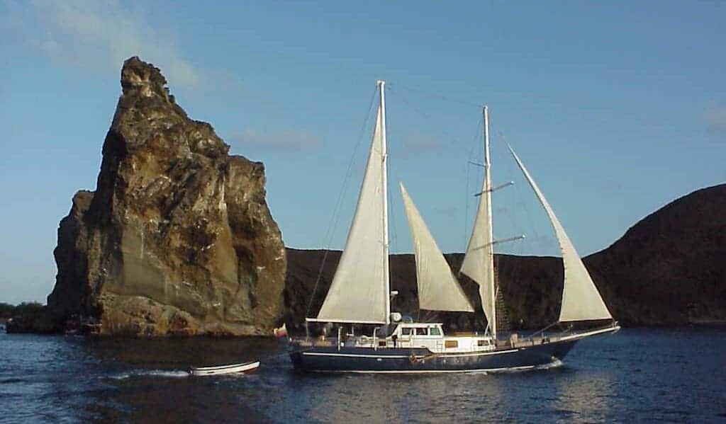 beagle-sailing-galapagos-wildlife-yacht-lodge-safaris-marine-life