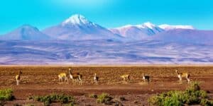 Panorama nel Sur Lipez-Viaggio Bolivia 14 giorni