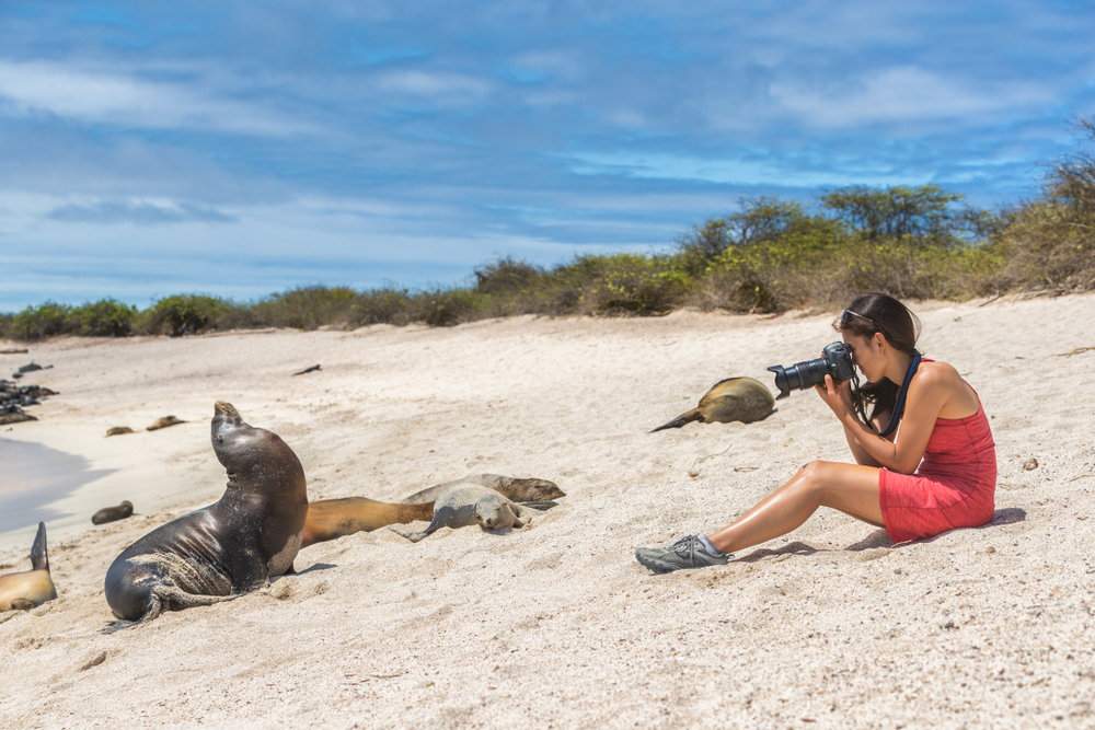 Leone di mare con fotografa, isole Galapagos