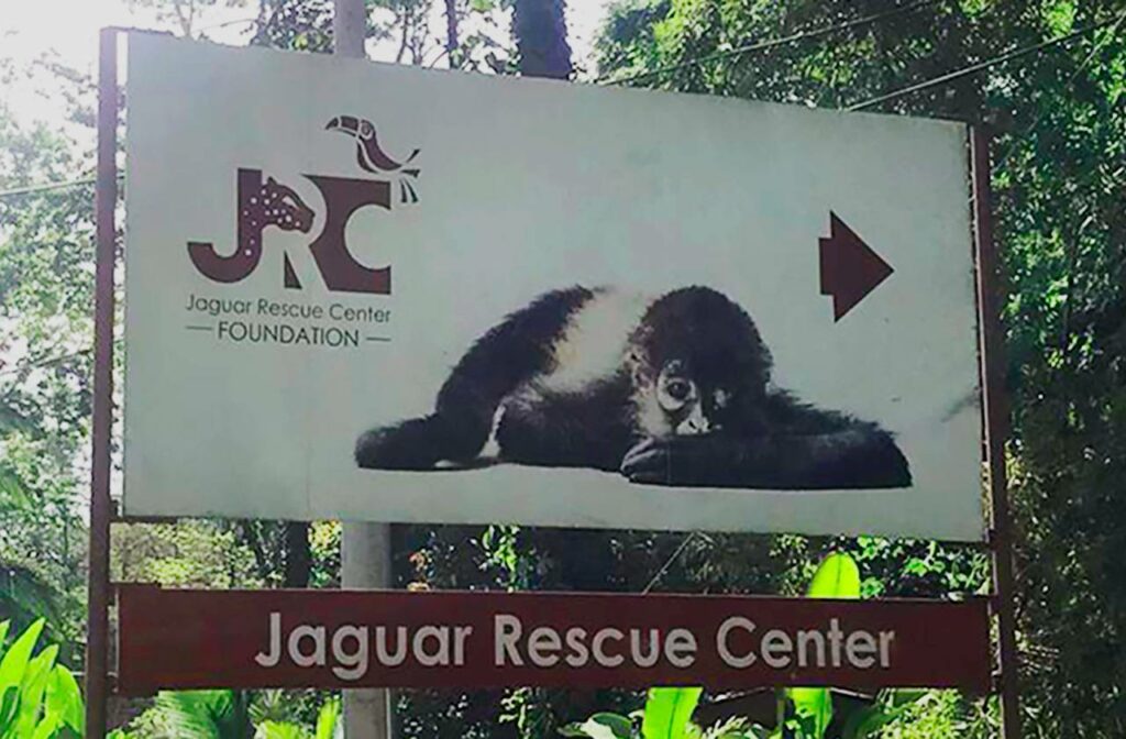 jaguar rescue center-costa rica