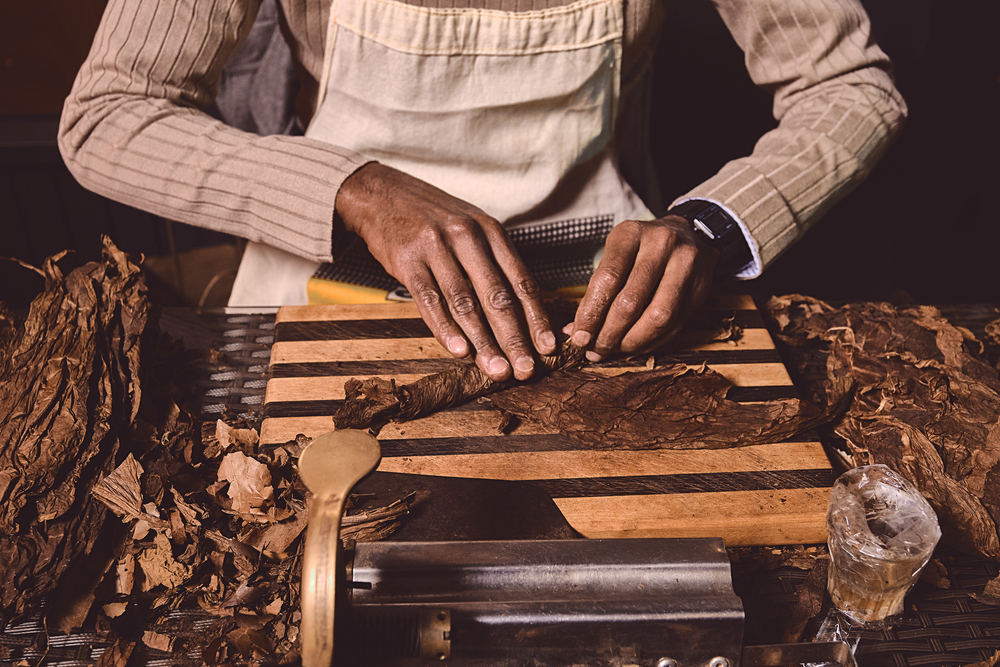 Process-of-making-traditional-cigars-from-tobacco-leaves-with-hands-using-a-mechanical-device-and-press