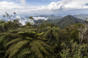 Turquino-mountain-in-Cuba