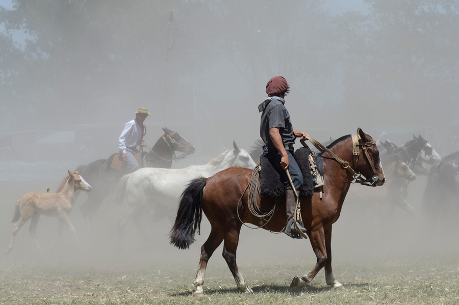 A-Gaucho-rides-a-horse-in-Buenos-Aires